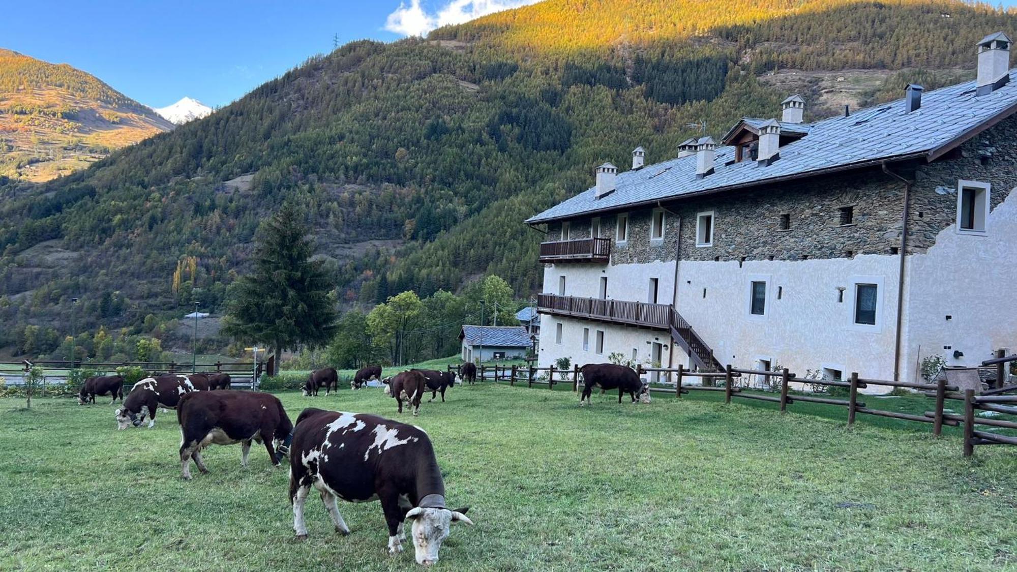 Maison Marcoz - Appartamenti Vacanze Étroubles Exterior foto